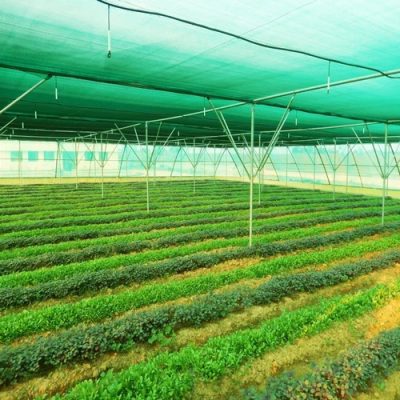 Uses Of Agro House Shade Net