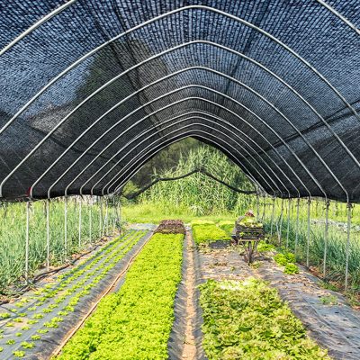 About Nursery Shade Net