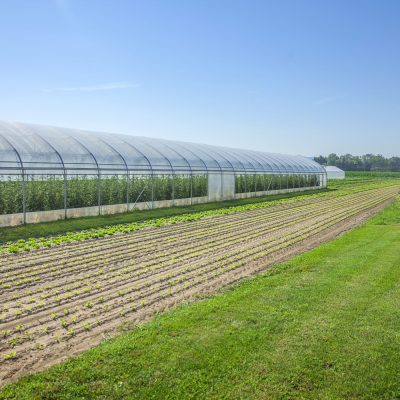 Uses Of Shade Net